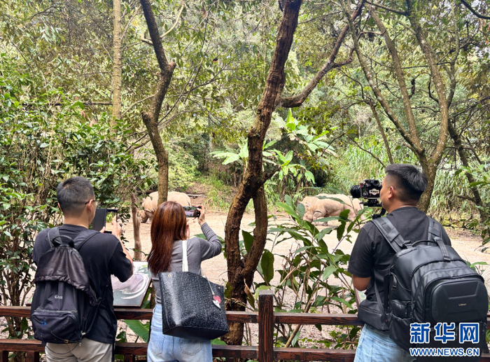 采风团成员被园中的动物吸引，用镜头记录珍贵瞬间（9月16日摄）。新华网发（张玛睿 摄）