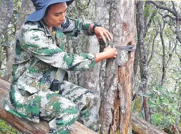余忠華在安裝紅外相機。受訪(fǎng)者供圖