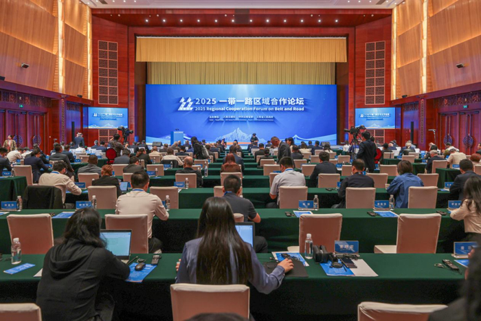 “一帶一路”區域合作，大寫(xiě)意和工筆畫(huà)的完美結合