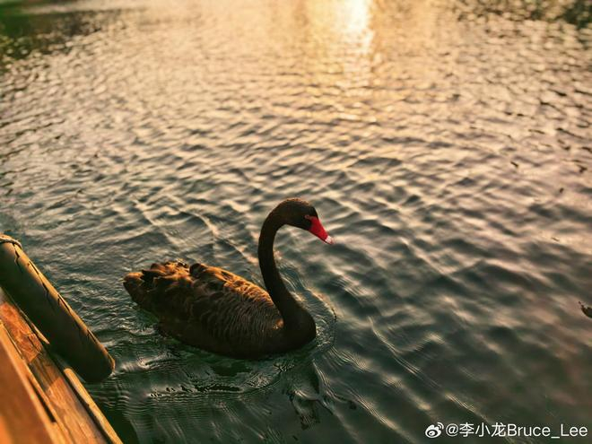 ▲ 图 2