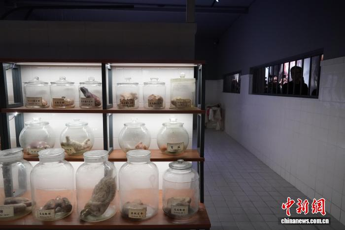 图为观展者参观人体解剖实验室。中新社记者 赵宇航 摄