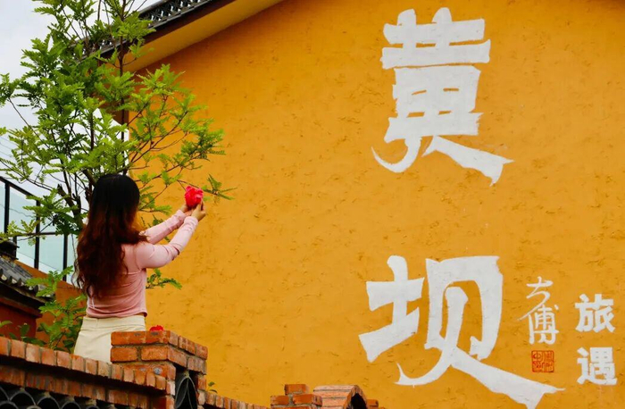 游客手拾紅花與黃壩同框（張子怡攝）