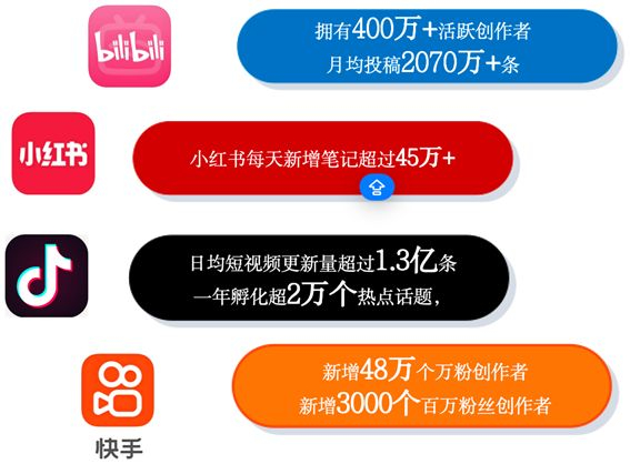 数据来源：第55次《中国互联网络发展状况统计报告》 2024.12