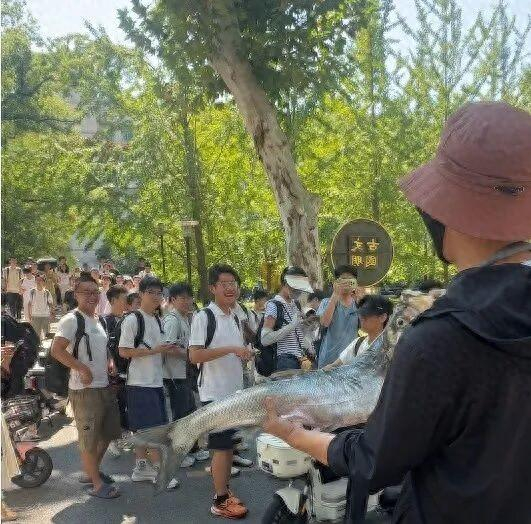 路过新生纷纷被吸引目光。图/受访者提供 