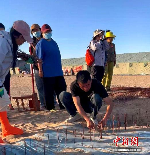 图为仲麟在沙漠上覆膜试栽压沙新品种。(资料图)民勤县融媒体中心供图