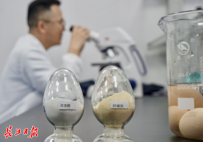 產(chǎn)業(yè)園過(guò)半面積投入產(chǎn)研，中心城區的工業(yè)用地價(jià)值凸顯。圖為武漢米來(lái)生物從雞蛋里提取出各種營(yíng)養物質(zhì)。??記者秦璟?攝