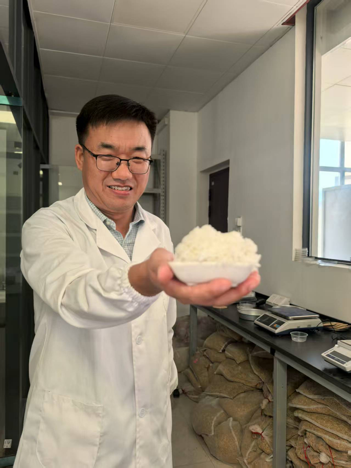 ▲江西农业大学边建民教授邀请媒体品鉴科研团队选育的优质米
