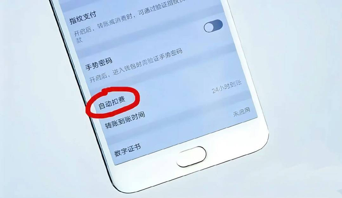 自动扣费设置