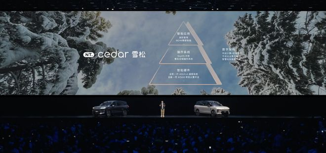 ▲NT.cedar雪松数字架构