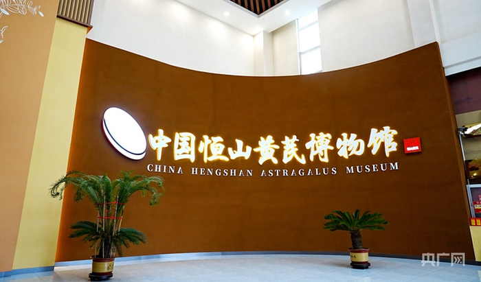 全国唯一一座黄芪博物馆（央广网记者  张晋鹏  摄）