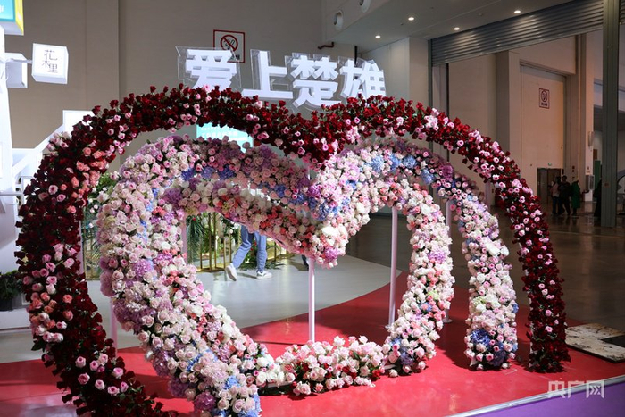 楚雄州展区的特殊造型装置（央广网记者 赵贝贝 摄）