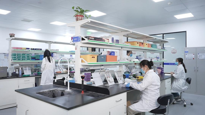 舜丰生物的科研人员在进行基因编辑载体构建工作。