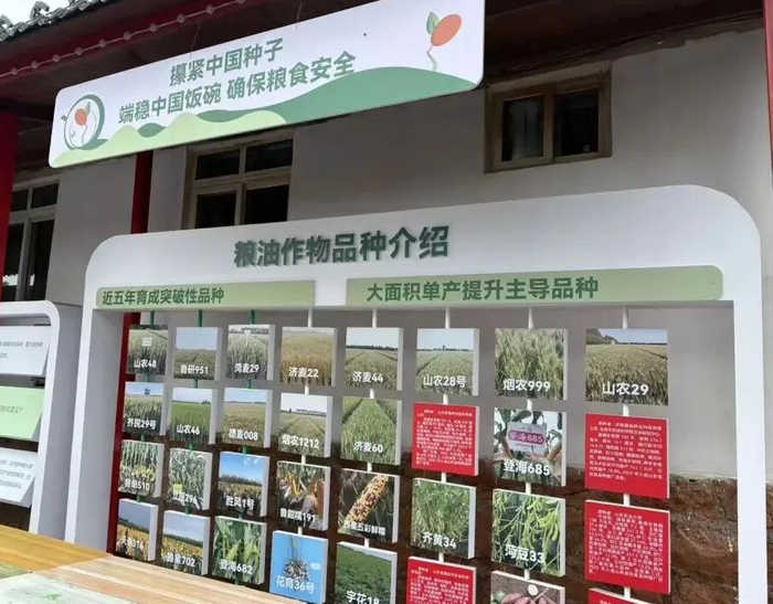 农业种质资源、优良品种等创新成果助力增产丰收