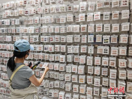 9月20日，中国东海水晶城，各类穿戴甲产品琳琅满目。中新网记者 谷华 摄