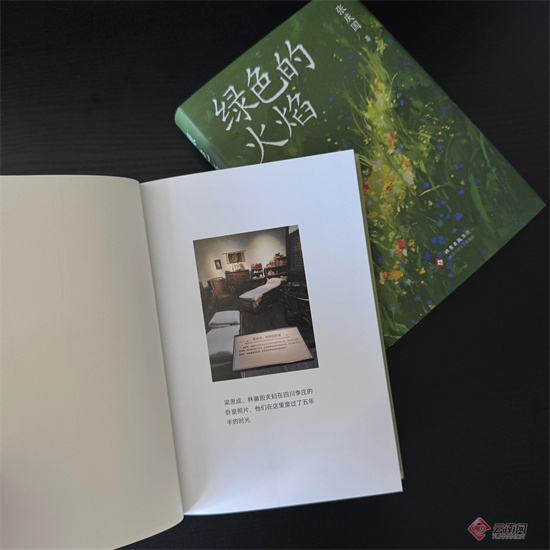 　　张庆国作品《绿色的火焰》
