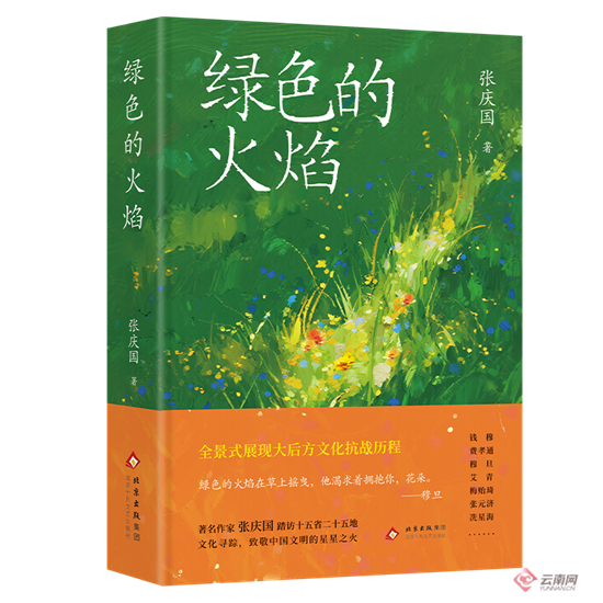 　　张庆国作品《绿色的火焰》