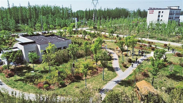 ▲邳州市议堂镇龚湖村“半隐田野”乡村咖啡馆