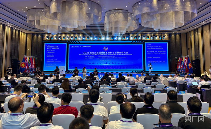 2025面向东盟国际技术转移与创新合作大会（央广网记者 梁瑜琳 摄）