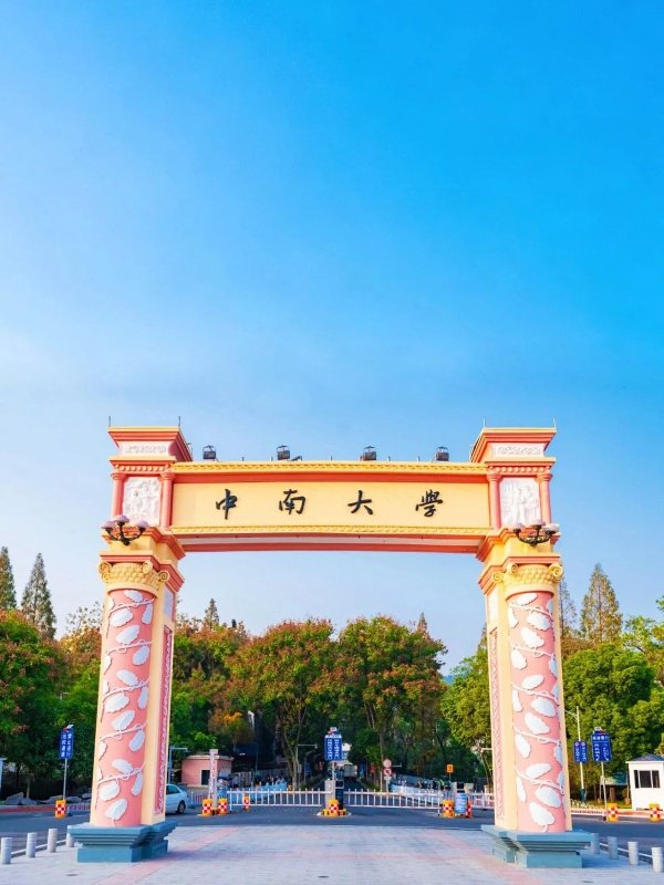 （图源：中南大学）