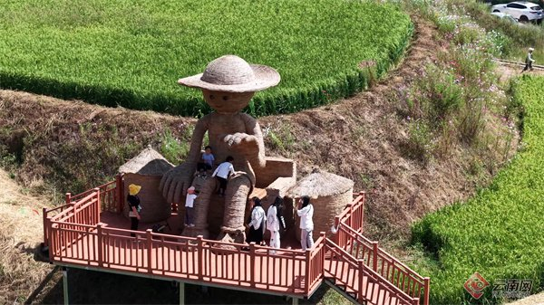 孩子与稻草人 王凯玮 摄