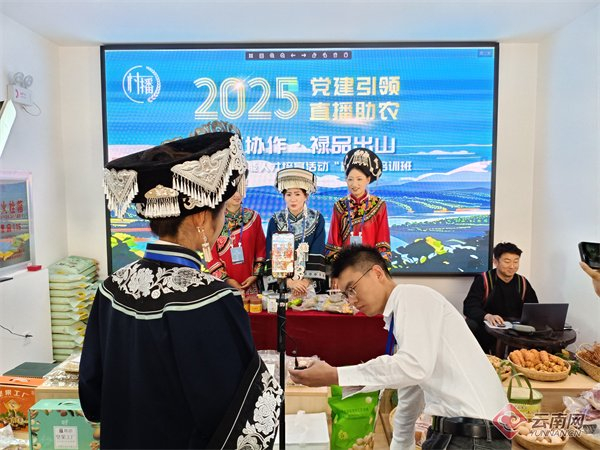 禄劝村播小院，主播们正在介绍禄劝特产。