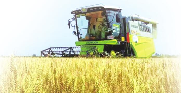 臨汾市襄汾縣南賈鎮(zhèn)上魯村麥?zhǔn)宅F(xiàn)場。劉婷婷攝