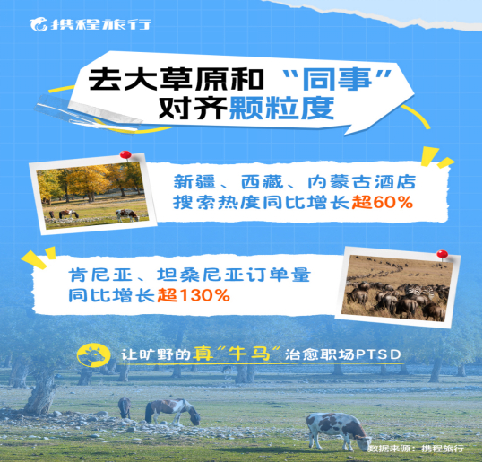 携程研究院供图