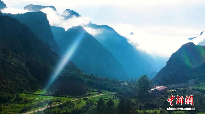图为青山如黛，层林叠翠的技绿贺兰山。中新网记者 陈峰摄