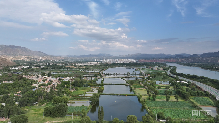 太极岛湿地一景(央广网记者 寇刚 摄)