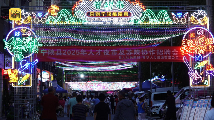 宁陕县2025年“人才夜市”招聘会现场
