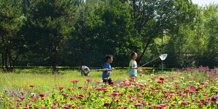 包頭市阿爾丁植物園，小朋友們?cè)谛←惢▍仓型嫠?。祝家?lè) 攝