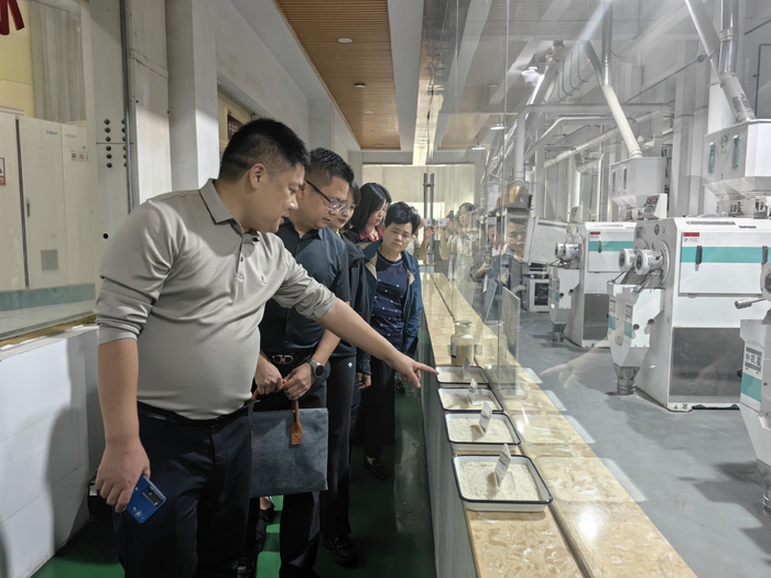 消费者代表在大米生产车间参观生产工艺流程。余知都/摄