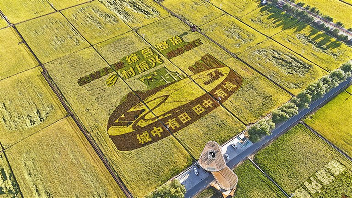 　9月，扎赉特旗好力保镇彩色稻田画扮靓金秋。海航 摄
