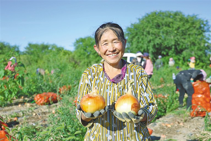 9月，突泉县圆葱丰收，农户脸上洋溢着喜悦。 曾令刚 摄