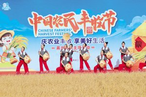 　　载歌载舞庆丰收。本报记者 韩伟摄