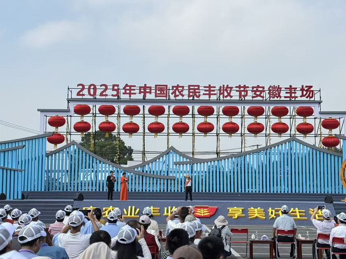 来自铜陵市天门镇兴化村的洪登宝展示今年的“姜王”