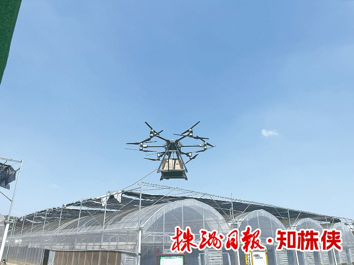 攜帶著農(nóng)產(chǎn)品的無人機(jī)正從種植基地起飛。 記者/潘東曉 攝