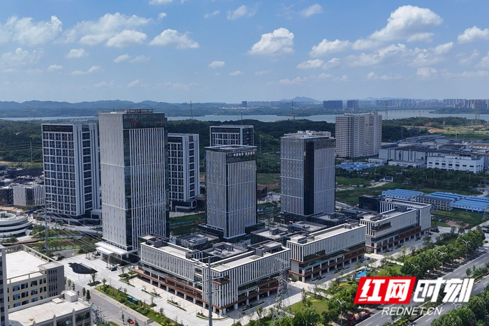 岳陽(yáng)自貿(mào)區(qū)數(shù)字經(jīng)濟(jì)產(chǎn)業(yè)綜合體。