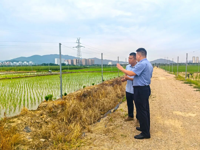2025年8月，海南省三亚市城郊检察院检察官向国家南繁科研育种基地工作人员，了解水稻育种情况。