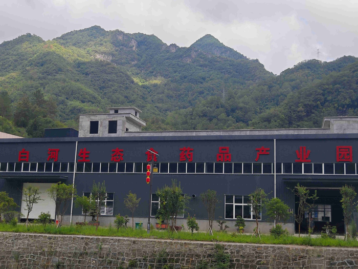 卡子镇新建的社区工厂。人民网记者黄钰摄