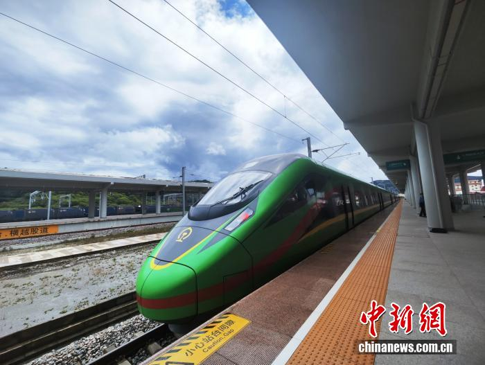 云南磨憨站，一列中老铁路国际列车正整装待发。中新网 刘越 摄