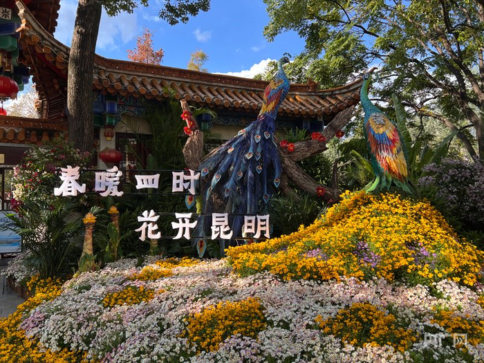 翠湖边上的鲜花花坛（央广网记者 魏文青 摄）