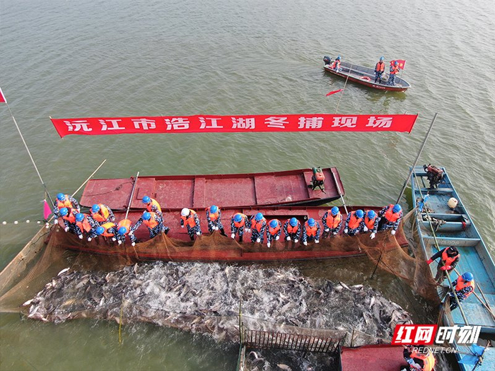 沅江市浩江湖冬捕現(xiàn)場。