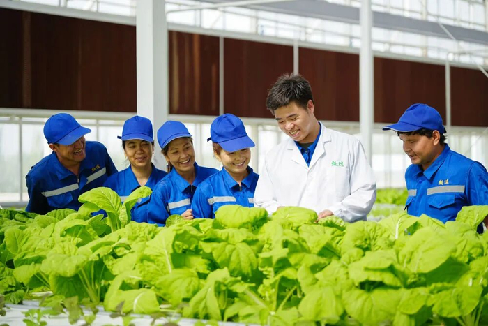 在新疆阿克苏地区库车市甬库同心村智慧农业植物工厂，技术人员在培训当地的农业产业工人。