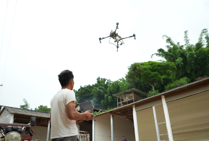 烤季穩增收｜農田“坡改梯”改出“新天地”