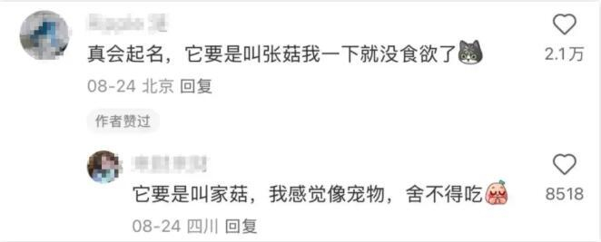 图片来源：小红书截图