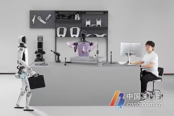 应用场景多样的人形机器人。图源浙江人形机器人创新中心