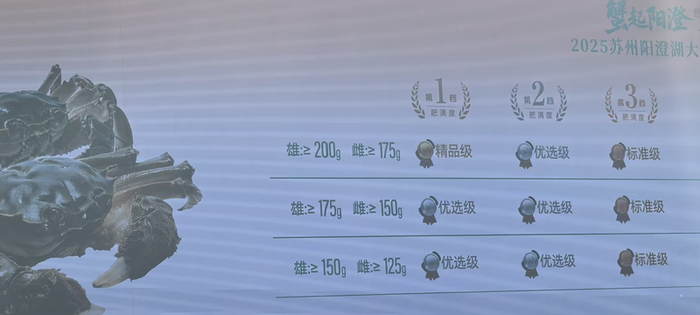 《苏州阳澄湖大闸蟹质量等级》标准将大闸蟹按重量、肥满度等进行分级。 新京报记者 王思炀 摄
