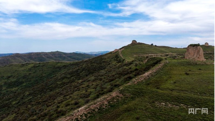 长城两侧被绿色覆盖（央广网记者  张晋鹏  摄）