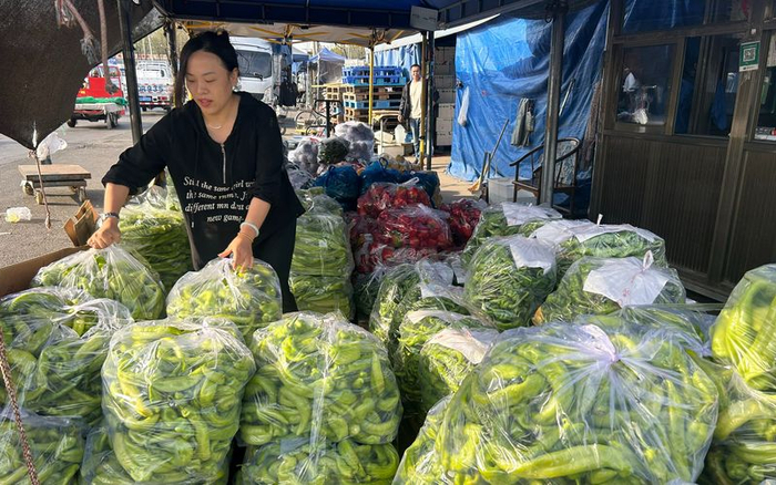 北京新发地市场，商户正在整理售卖的蔬菜。新京报记者 陈琳 摄